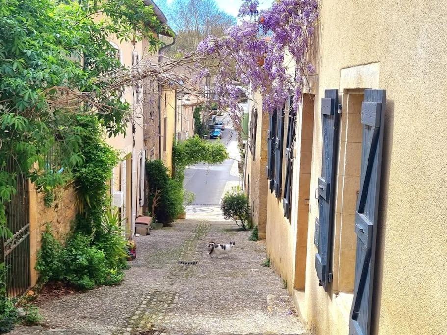 Romantique Room St Michel De Lanes Saint-Michel-de-Lanes Exterior photo